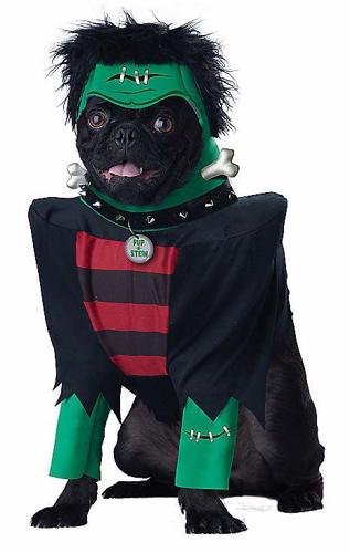 Top Pet Costumes