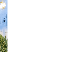 Technology-Driven Transformations in the Cannabis Industry | Health ...