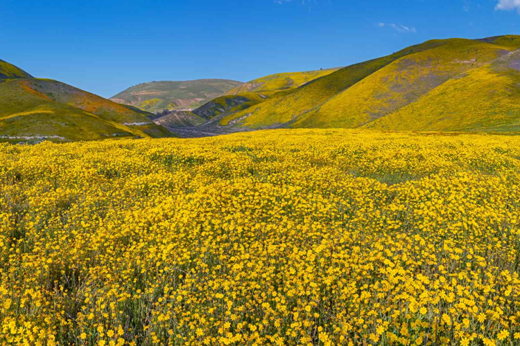San Luis Obispo Spring Getaway: Luxury Wellness, Wildflower Escapes, and Design-Forward Living at Hotel SLO