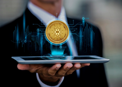 The Best Crypto Services for Family Offices: What to Choose