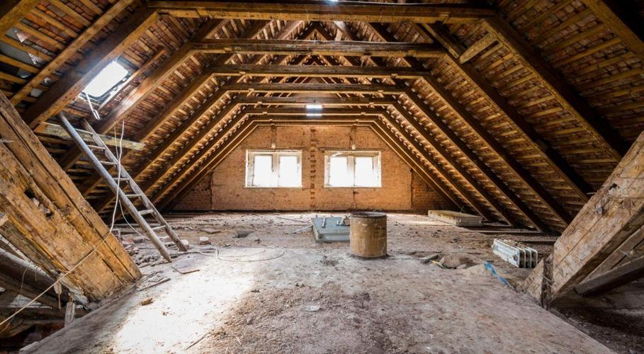 The Importance of Professional Attic Mold Treatment