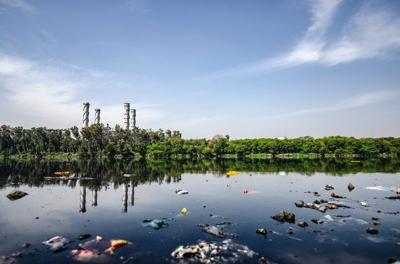 Waste and Pollution: How You Can Contribute to Sustainability
