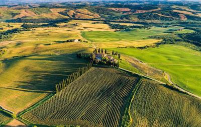 Tuscany's Wine Revolution: The Rise of Organic and Biodynamic Vintages