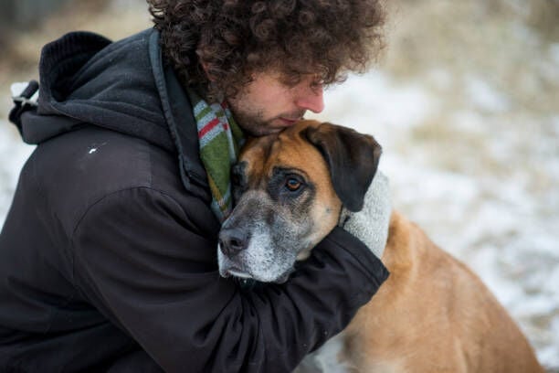 Service Animal vs Emotional Support Animal Explained