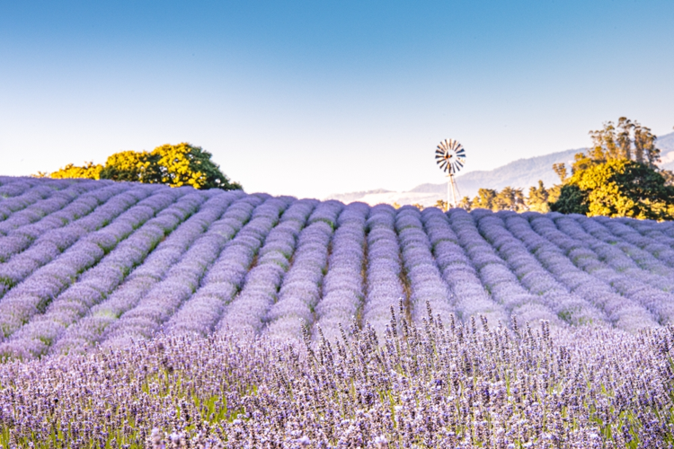 Top Fall Weekend Getaways in California