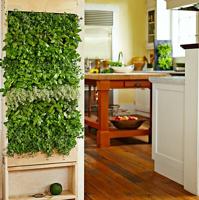 San Diego Interior Decorating Tips