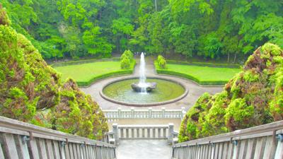 Explore the Japanese Village of Naritasan