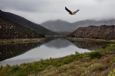San Dieguito River Park Showcased