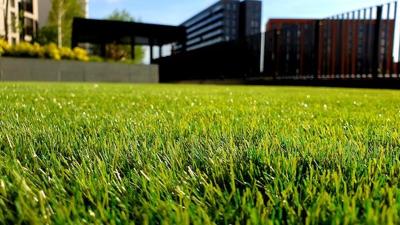 Quick And Easy Guide To Lawn Fertilization