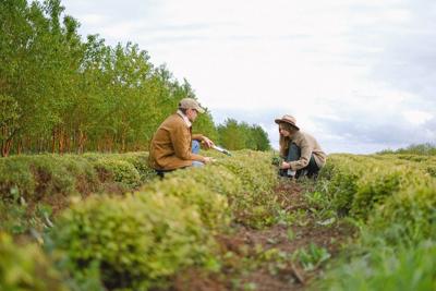 Seasonal Garden Maintenance: Essential Tasks for a Healthy and Vibrant Landscape