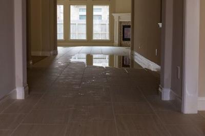 How Much Does It Cost to Repair Water Damage at Home?