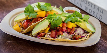Haggos Organic Taco Shop is Keeping it Green in San Diego