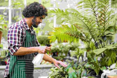 Secrets Your Exterminator Wont Share With You