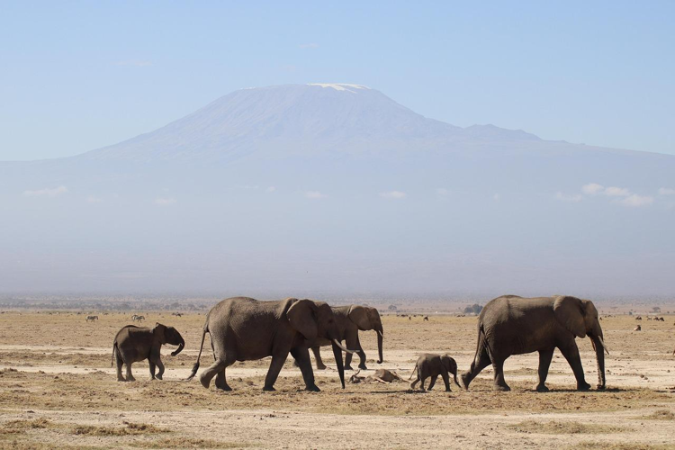 Reasons Africa Remains a Top Travel Destination