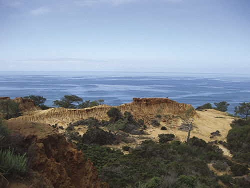 Workout with a  Happy Trail