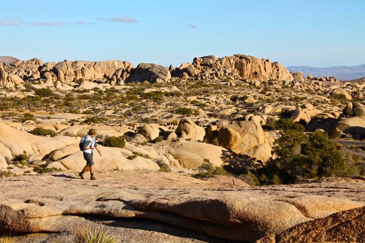 Rock Climbing at Joshua Tree National Park