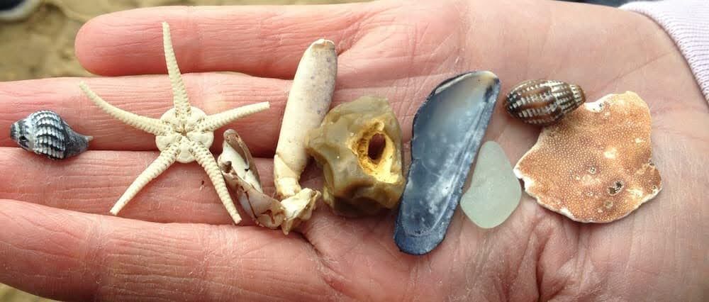 Fun Beach Activities to Try in 2024