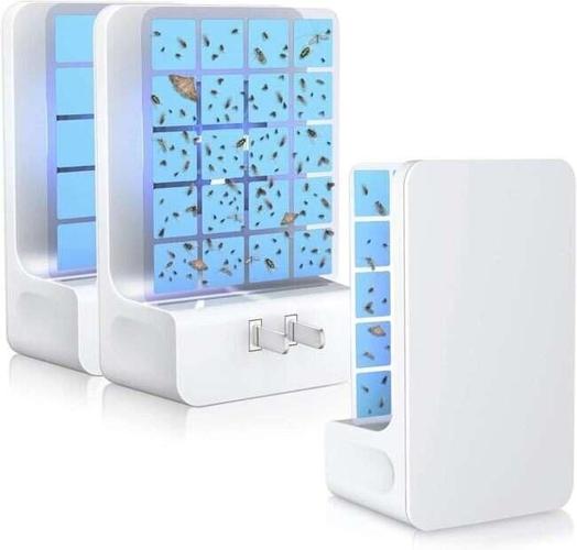 The 10 Best Gnat Killers to Eliminate Fungus Gnats for Good