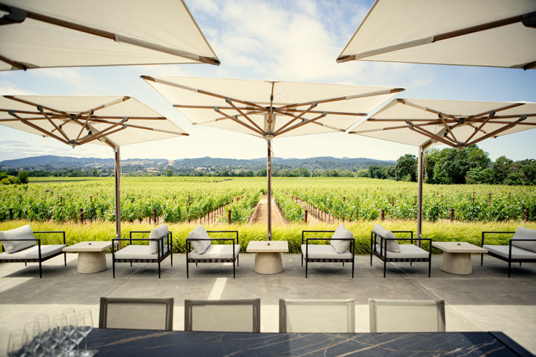 Discover the Elegance of Aperture’s Spring Wine Collection