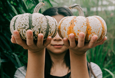 Everything You Need to Know About Home-Grown Produce
