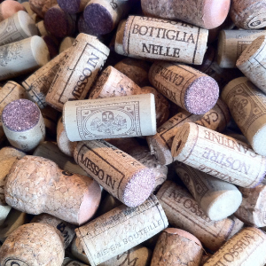 Your Guide to the Best Wines this Holiday Season