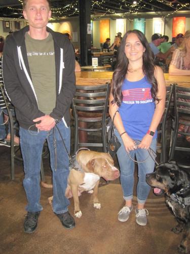 Shelter to Soldier is Star of Fundraising Event