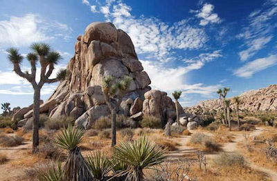 5 Warm Weather Camp Spots to Try This Winter