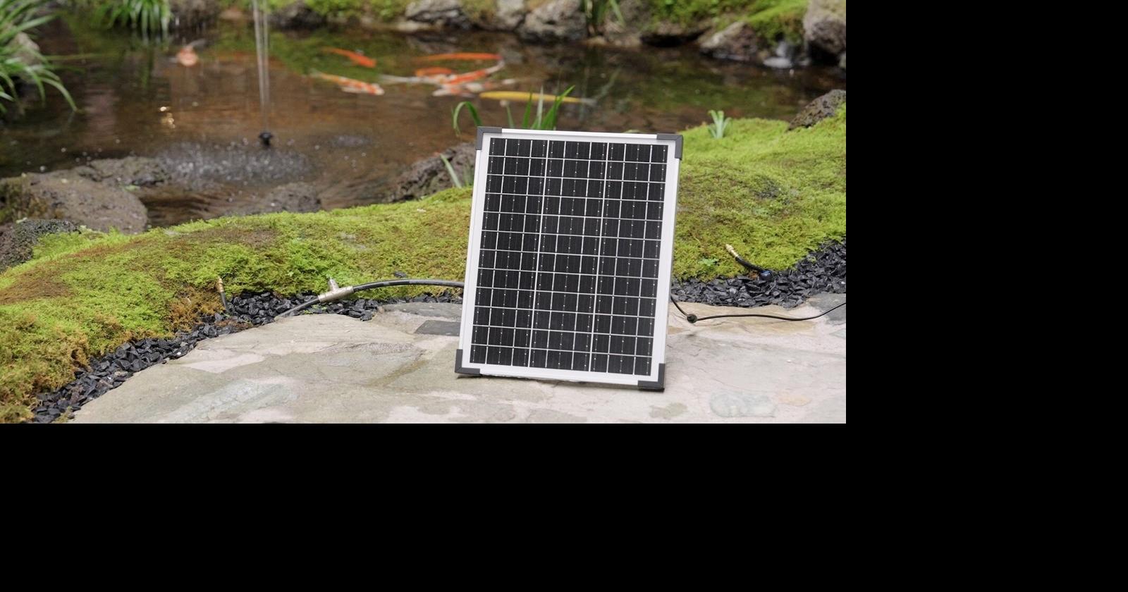 Electric vs. Solar Fountain Pump - Which is best for you? By Anil Baswal Nov 17, 2025 Nov 17, 2025 Updated 19 mins ago 4 min to read
