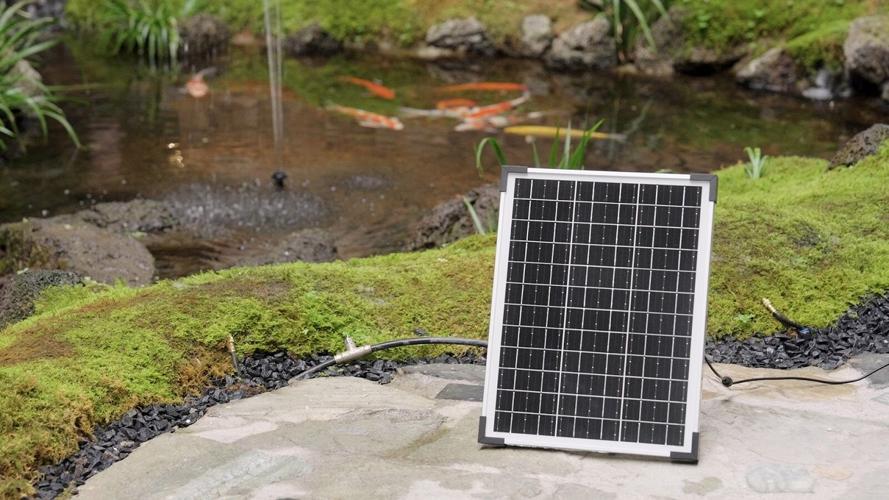 Electric vs. Solar Fountain Pump - Which is best for you?