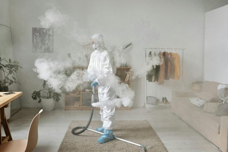 The Silent Saboteurs: How Pests Devalue Beautiful Homes