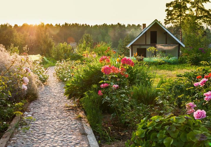 Why You Should Sell Your Home in Summer