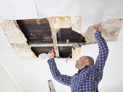 How Much Does Mold Removal Cost? This is What You Can Expect to Pay
