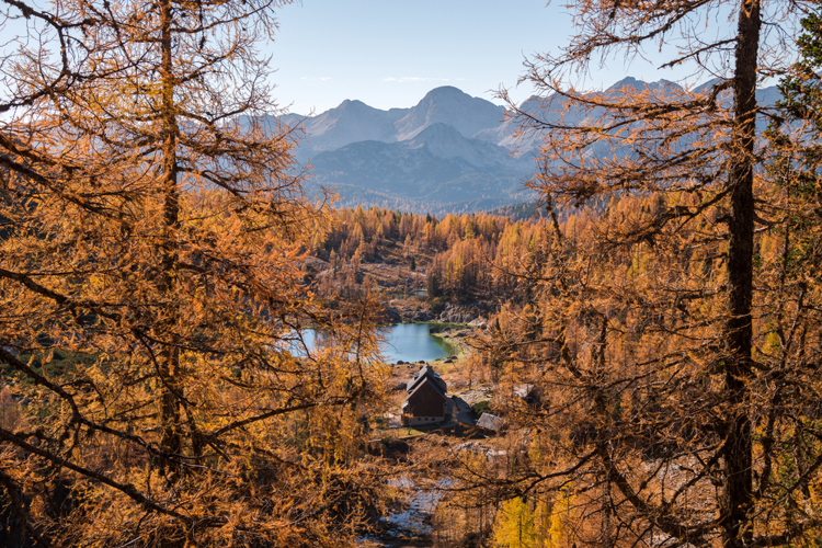 San Diego Weekend Escapes for a Quick Fall Getaway