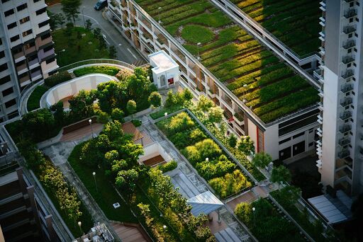 Green Revolution: Embracing Urban Gardening for Sustainable Living