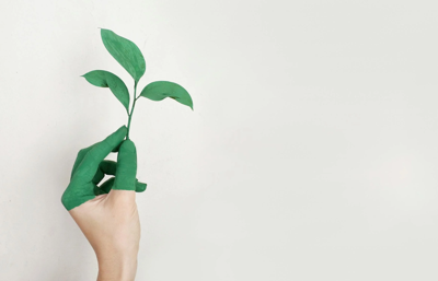 Designing a Green Home: Eco-Friendly Materials and Practices