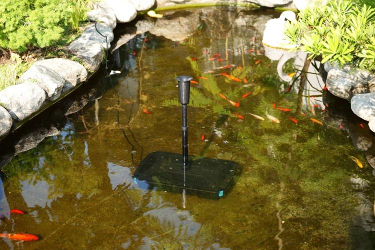 How to Build Homemade Pond Filter Box – Ponds Guide with Poposoap Pond