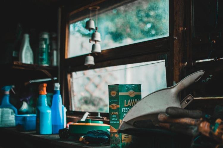 Homemade Organic Pesticides you can Use for your Home