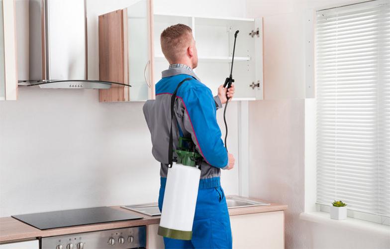 Pest Control For Multi-Unit Apartment Buildings