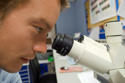 The Science Behind Peptides and Hormonal Balance