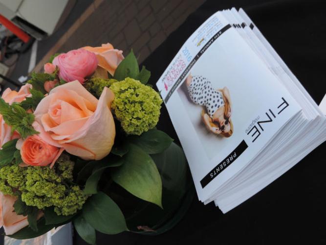 Sunfresh Flowers for Every Occasion