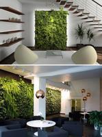 San Diego Interior Decorating Tips