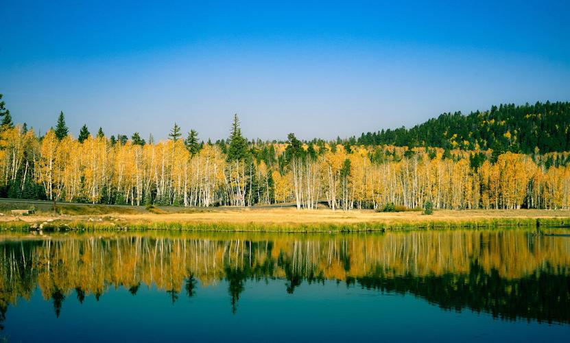 Here's A List Of The Top Places To Go Fishing In Utah
