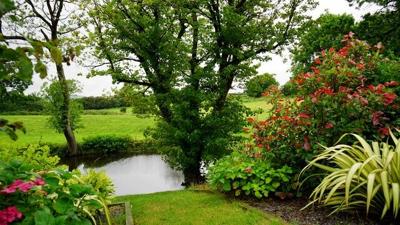 Essential Things You Need to Know When Improving Your Land