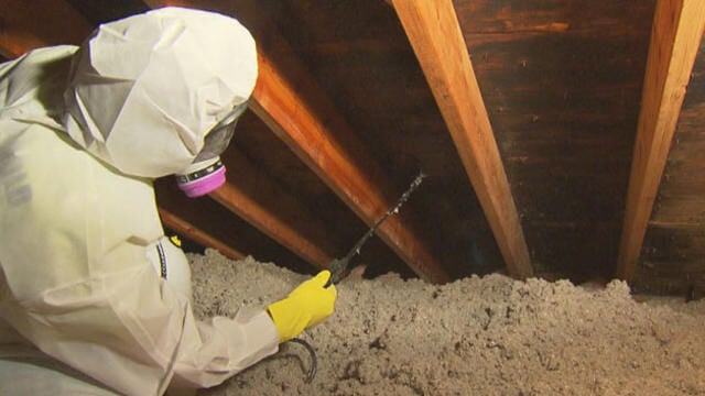 The Importance of Professional Attic Mold Treatment