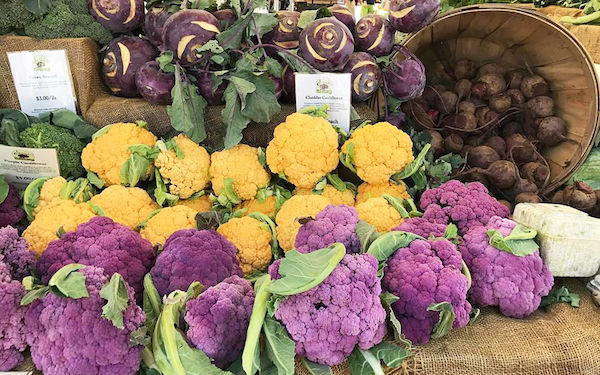 Best North County Farmers Market