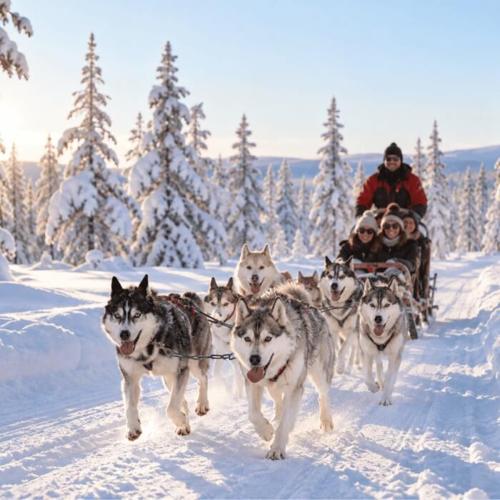 Fun Winter Getaways for Adventurous Travelers