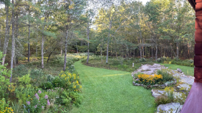 Greening Your Habitat: Steps To Increase Home Sustainability