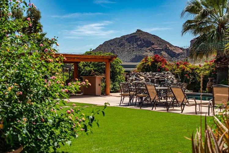 Expert Ways You Can Keep your Backyard In Top Condition