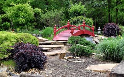 How to Enhance the Landscaping of Your Home