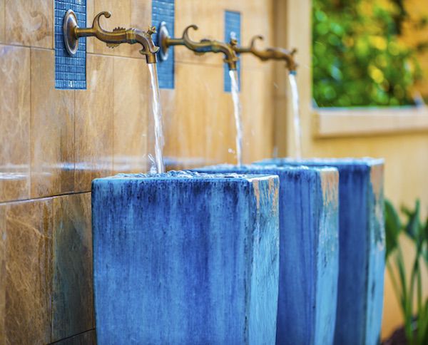 Terra Bella Founder Discusses Finding the Perfect Landscaper